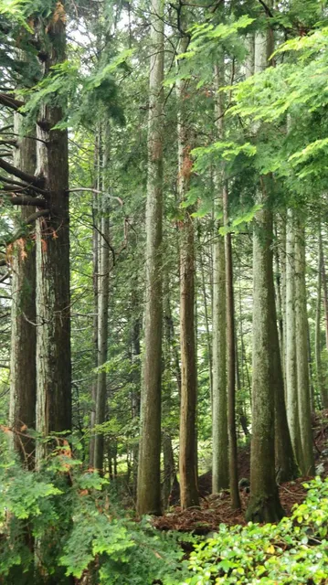 Biwako Terrace The Main-Grand Terrace