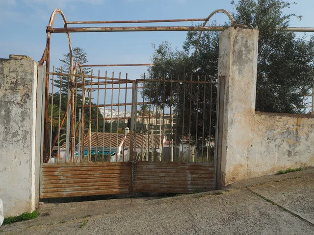 Necropolis Bridge Noy