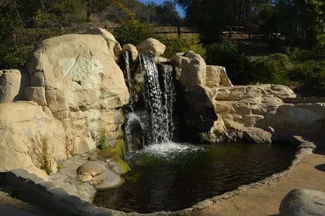 Doris Japanese Garden