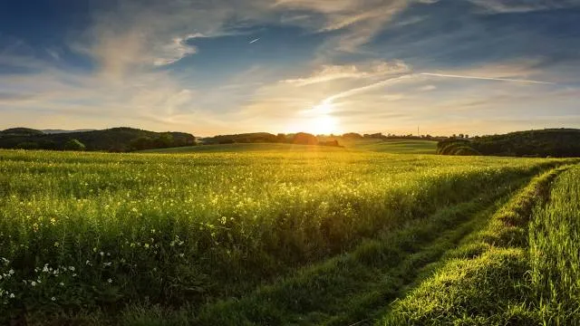 Myśliborski Gorge near Jawor