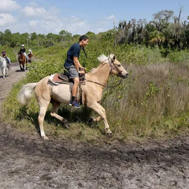 HorsePower for Kids & Animal Sanctuary