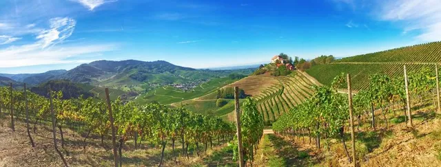 Verwaltungsgemeinschaft Offenburg