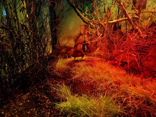 Pawilon zwierząt nocnych