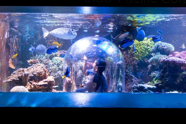 Butterfly House & Aquarium