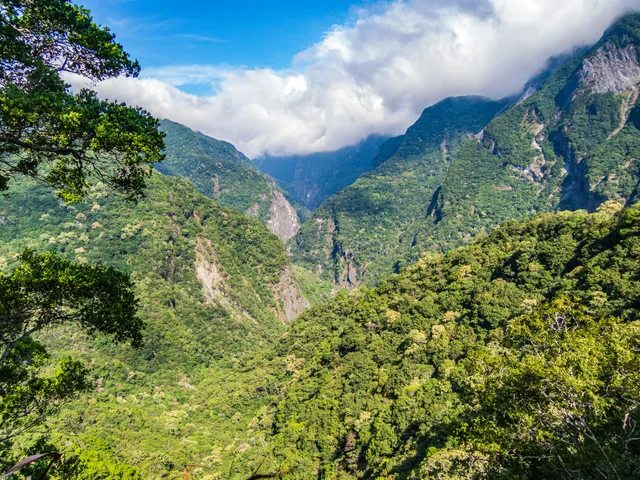 Lushui Wenshan Trail
