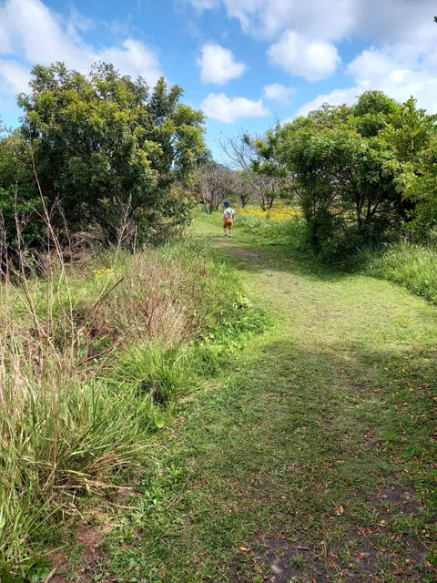 Parque Urbano do Bolaxa