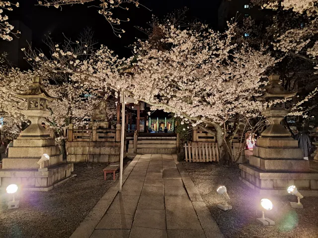 photo-1