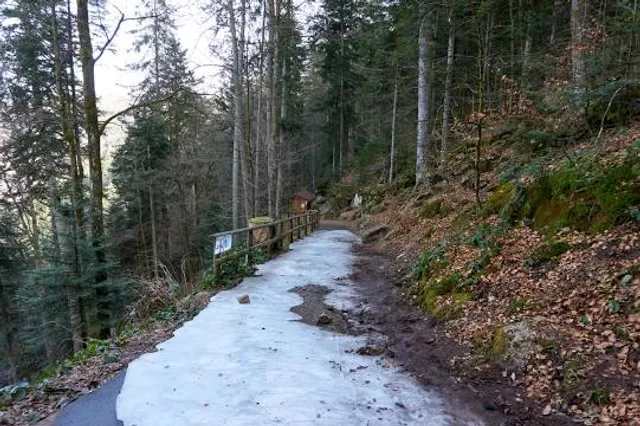 SelvArt - Parco Arte Natura