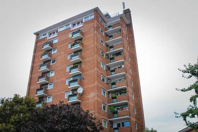 Lawrence Virgilio Playground