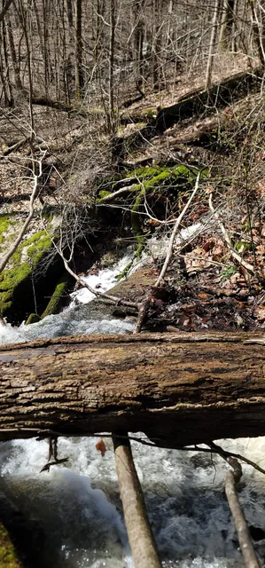 Leonard Springs Nature Trail Parking Lot