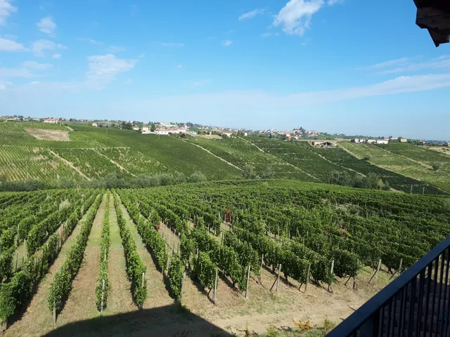 Azienda Agricola Lusenti