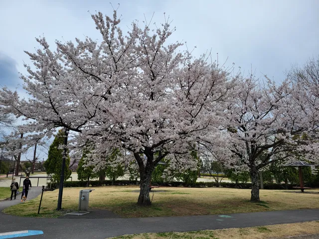 Suwa Central Park