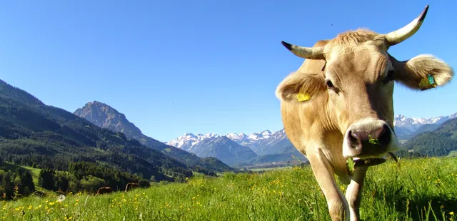 Hiking in the Zillertal