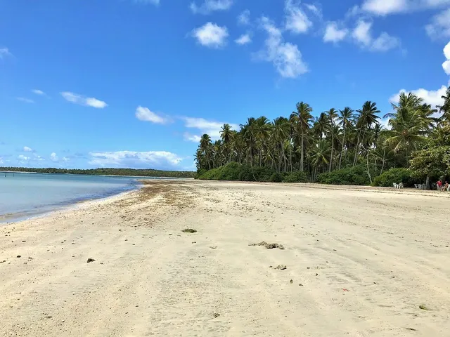 Praia de Tassimirim