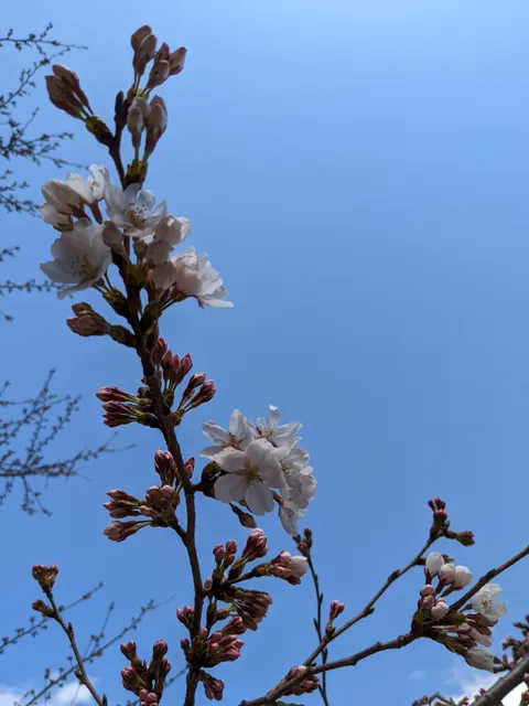 Minami-Nagasaki Harappa Park
