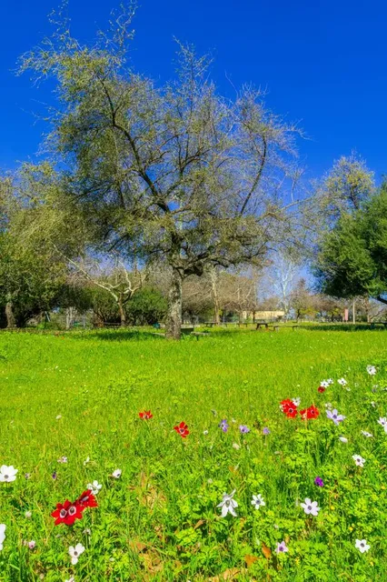 Horshat Tal Nature Reserve