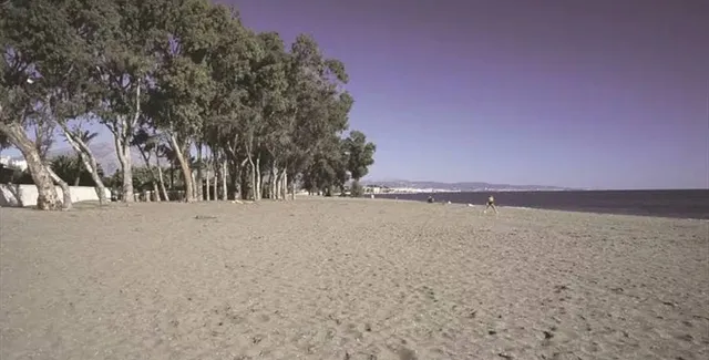 Playa de San Pedro de Alcántara