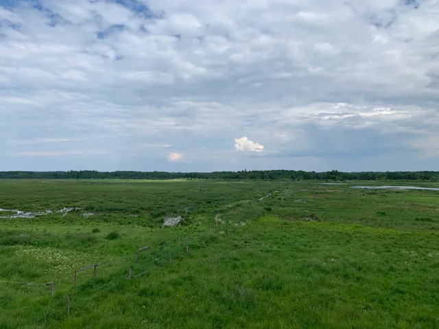 Husebymadens naturreservat