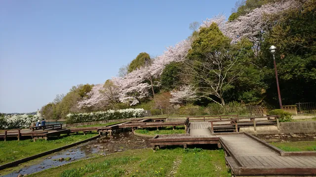 Teragaike Park