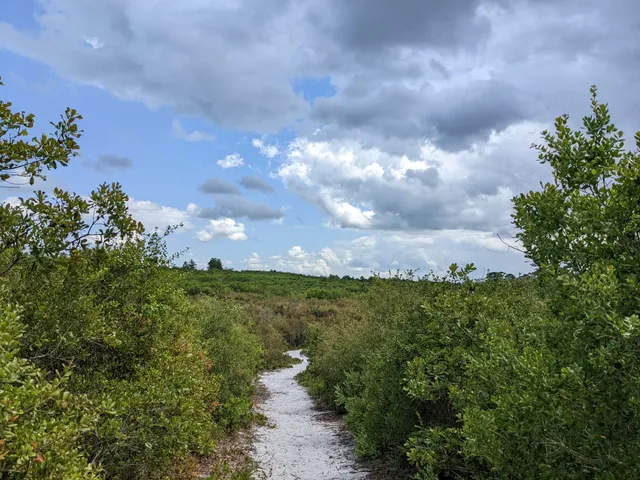 photo-1