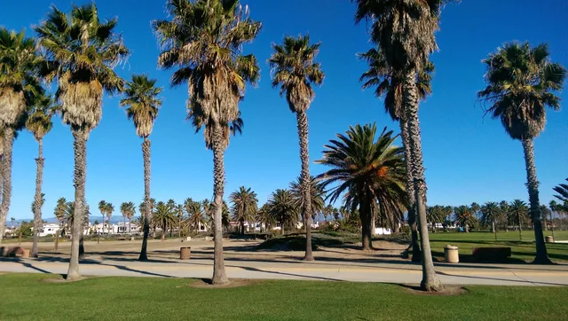 place image