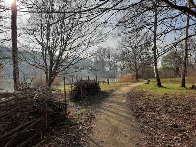 Natuurtuin Rijswijk Wilhelminapark