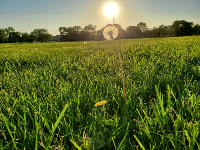 Overpeck Park Henry Hoebel Area