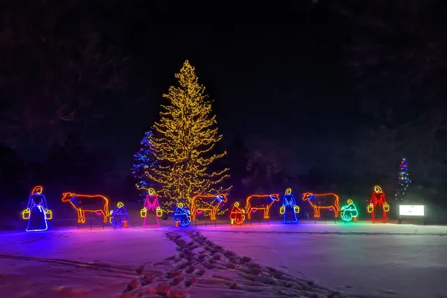 Enchanted Forest at Forestry Farm