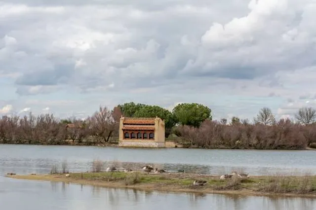 Lagunas de Villafáfila