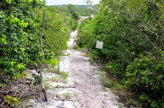 Parque Ecológico Lagoa do Vital