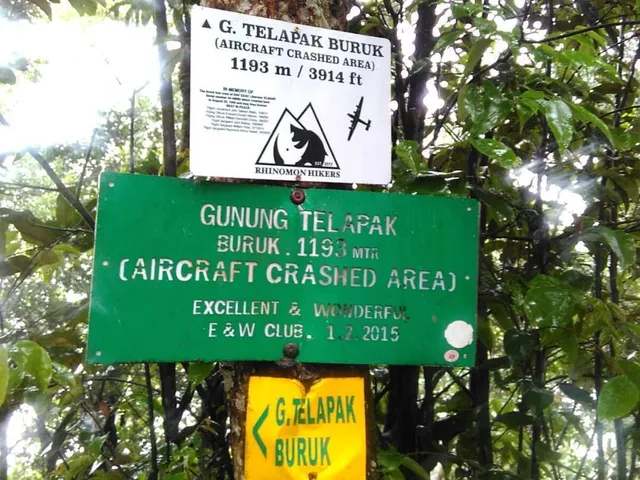 Gunung Telapak Burok
