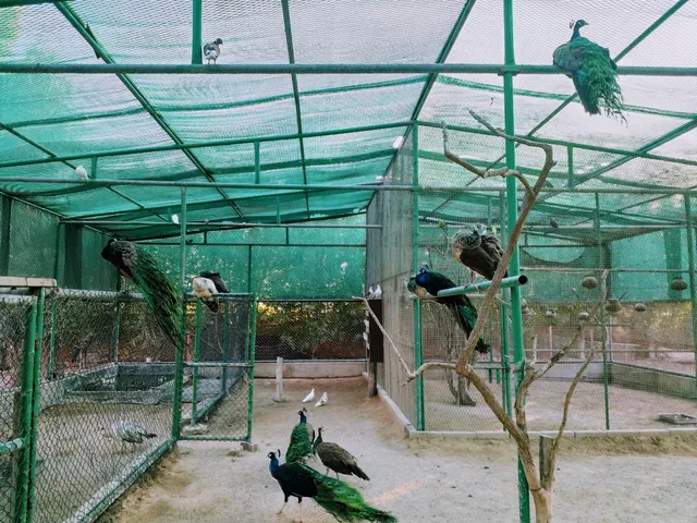 The Adventure Centre