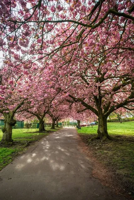 Friarwood Valley Gardens
