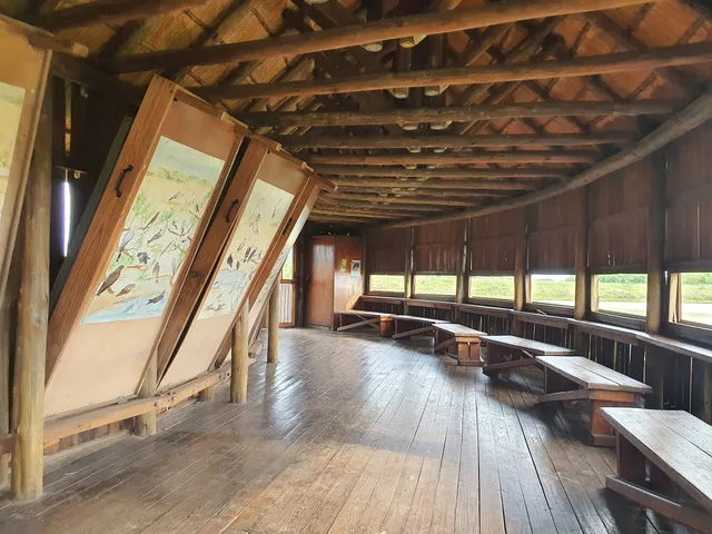 Sable Sleepover Hide