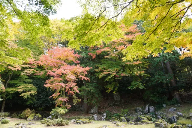Kyu-Kameishibo Garden