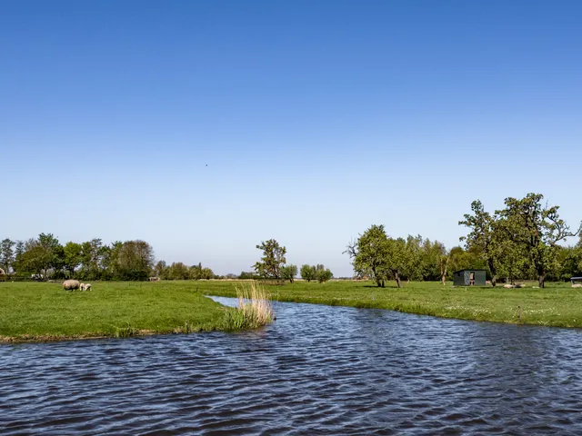 Boat Trip 'Eilandspolder "