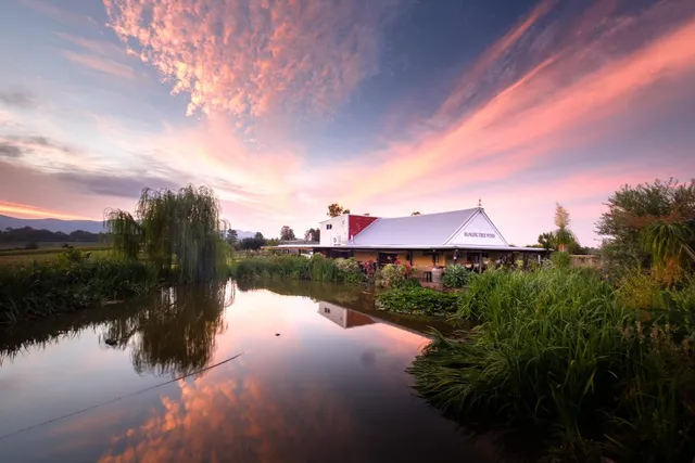 Hanging Tree Wines - Hunter Valley