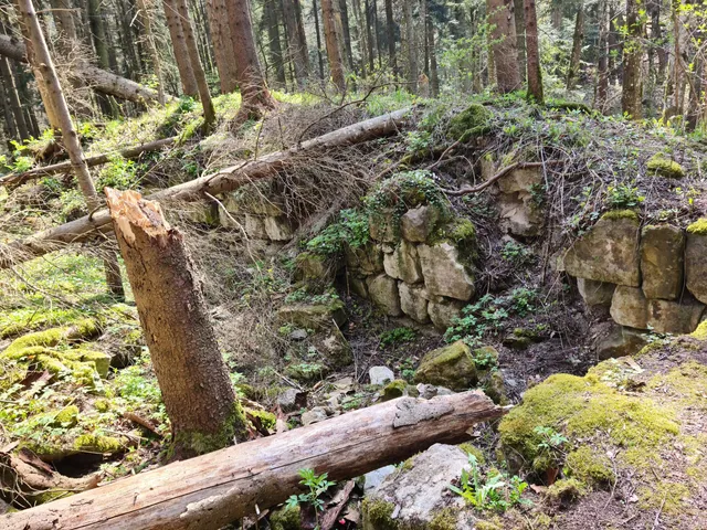 Burgruine Rotenzimmern