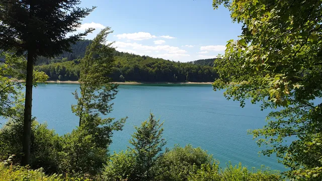 Senses Walk on Hennesee