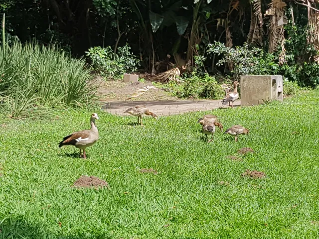 Amanzimtoti Bird Sanctuary
