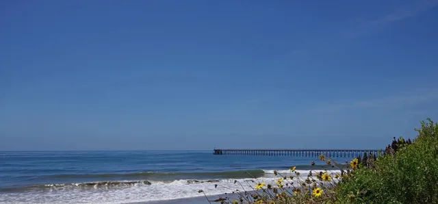 Haskell's Beach