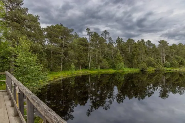 Velké mechové jezírko