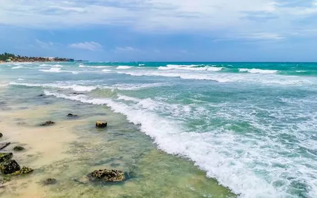 Muelle Constituyentes