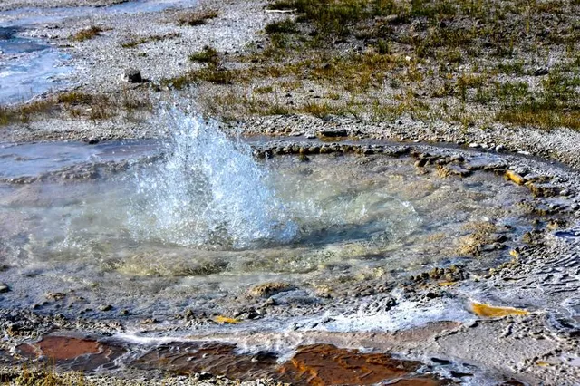 Anemone Geyser