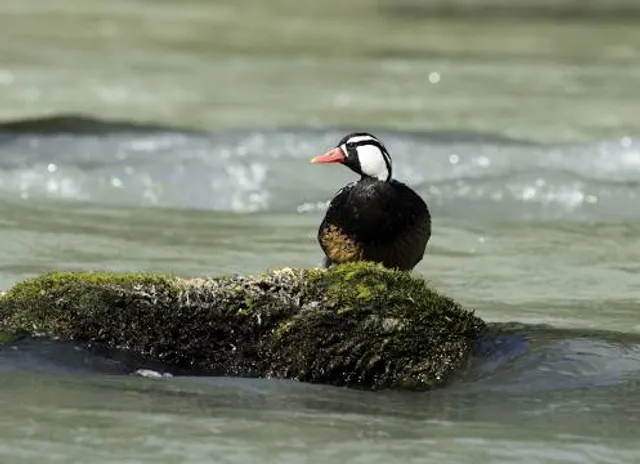 Chau Ram County Park