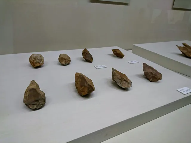 Seoul National University Museum