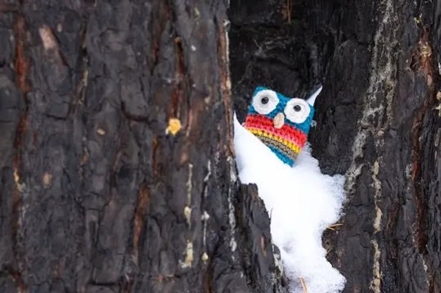 Government Springs Trailhead