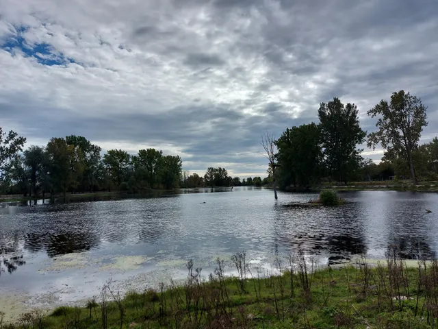 Nature Boy Scenic Railway