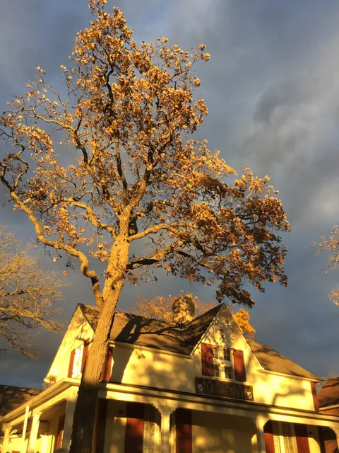 Maryboro Lodge Museum
