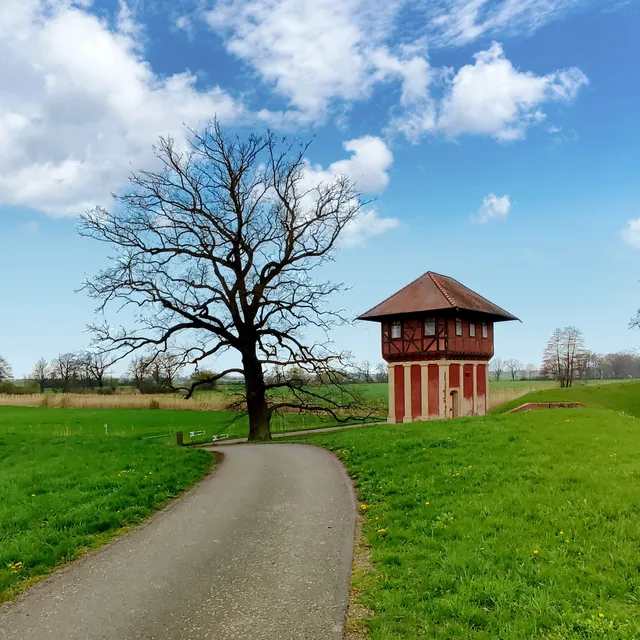 Elberadweg Wittenberg-Wörlitz